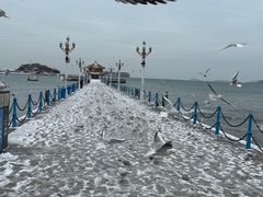 -栈桥景区