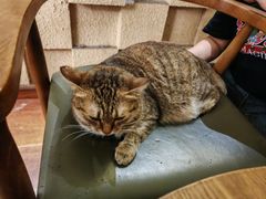 -H立方实景剧情密室(天河旗舰店)