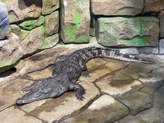 -顺德南宏海立方海洋公园
