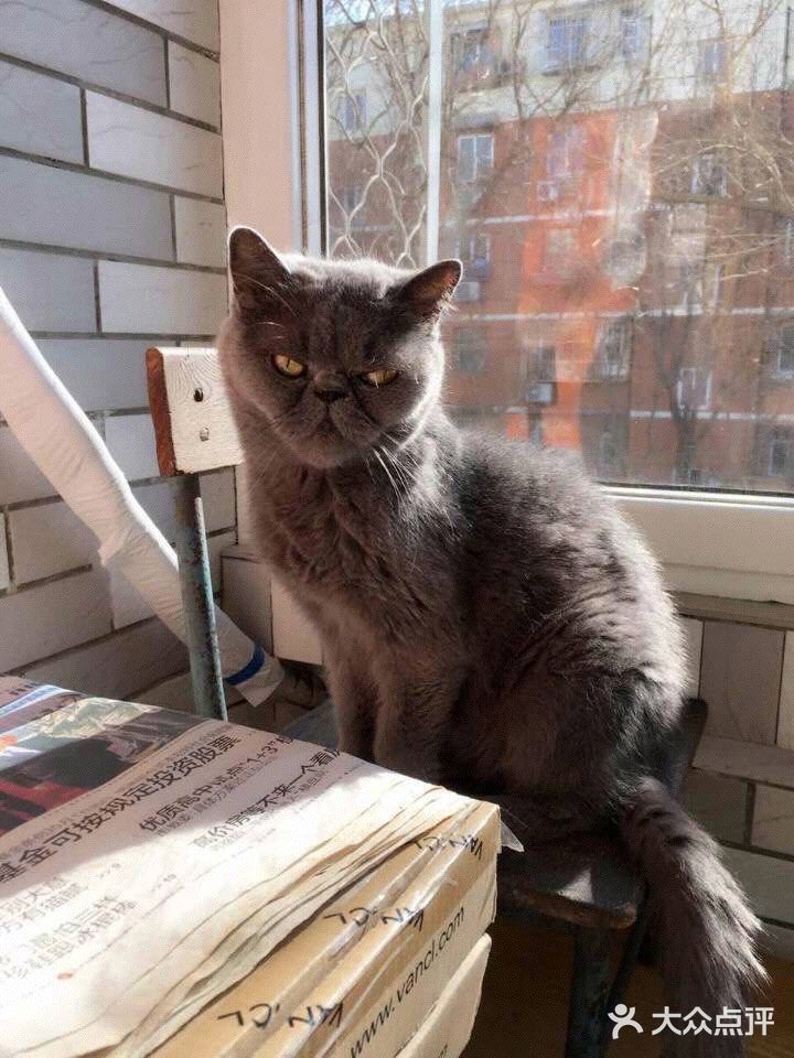 对不起的淘小桃🍑为什么不能珍惜过去的好时光？