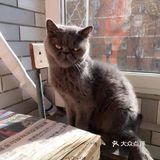 对不起的淘小桃🍑为什么不能珍惜过去的好时光？