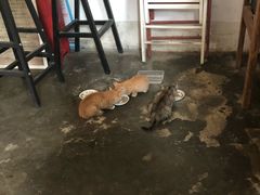 -时光转角咖啡馆(西康路店)