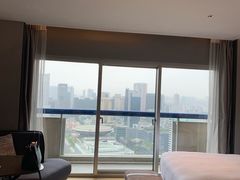 -新加坡瑞士史丹福酒店