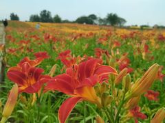 -汉长安城未央宫国家考古遗址公园