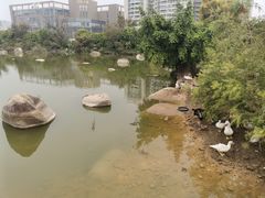 -厦门悦华酒店