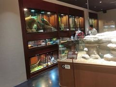 -帕帕拉兹宠物(亚洲旗舰店)