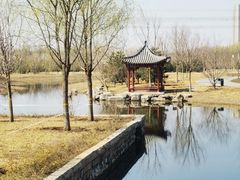 -张家湾公园