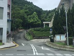 -香港大学