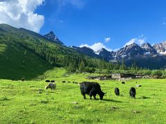 -四姑娘山阿巴郎·藏式花园餐厅