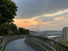 -福道