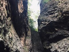 -牛背梁国家森林公园
