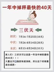 -香薇妮丝·定制减肥·身材管理