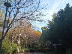-牛岗山公园