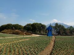 -广州市流溪河国家森林公园