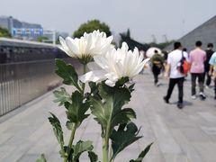 -侵华日军南京大屠杀遇难同胞纪念馆-停车场