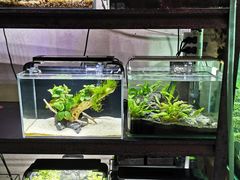 -三旗百汇商品城