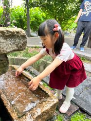 -太湖雪蚕桑文化园