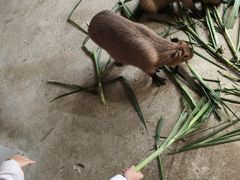 -龙谷湾旅游休闲度假区