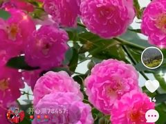 -康道天地(达邦协作广场店)