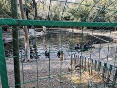 -镇江市南山风景名胜区竹林景区