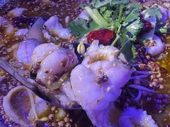 -巴特餐饮6加1音乐餐吧·新疆菜