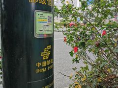 -广西大学(大学东路校区)