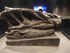 -自贡恐龙博物馆