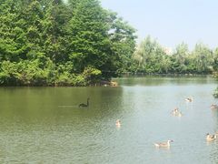 -艾溪湖湿地公园