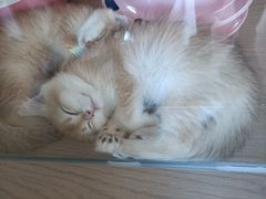 -Me Coffee下午茶艺术空间