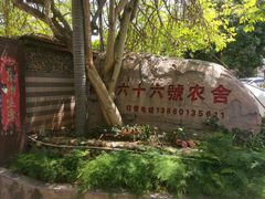 -杨厝六十六农庄农舍(杨厝路店)