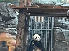-武汉动物园