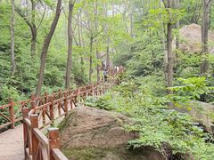 -大岭沟猕猴桃谷风景区