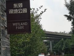 -东郊湿地公园