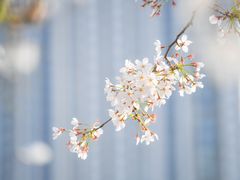 -龙美术馆(西岸馆)