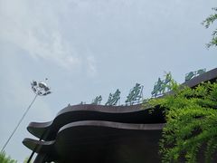 -黄海国家森林公园