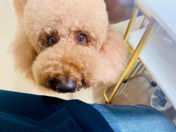 -첫번째 初见美学中心