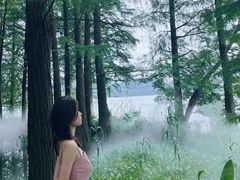 -东湖落雁景区