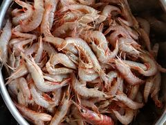 -青岛沙子口国家中心渔港