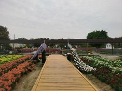 -广东花都香草世界旅游度假区