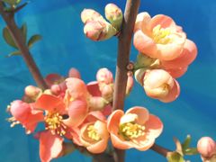 -共青国家森林公园-售票处