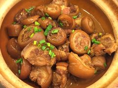 猪尾巴-九华山聚龙大酒店