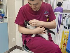-北京观赏动物医院·24小时大型综合·猫专科·异宠专科