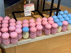 -Bakeries贝可利斯(中海店)