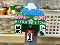 -富士山吉田線五合目