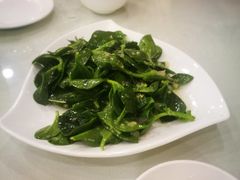 -陶然饺子城(奥体中路店)