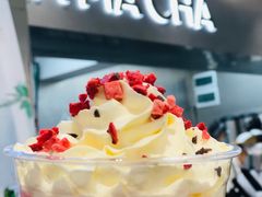 -MAMACHA妈妈茶(海信店)