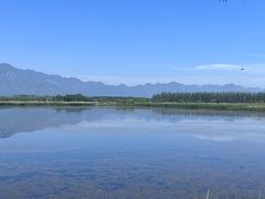 -野鸭湖国家湿地公园