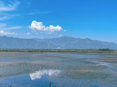 -野鸭湖国家湿地公园