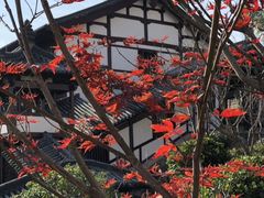 -径山寺