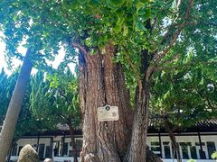 -苏州碑刻博物馆